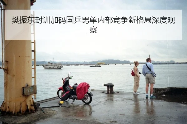 樊振东封训加码国乒男单内部竞争新格局深度观察