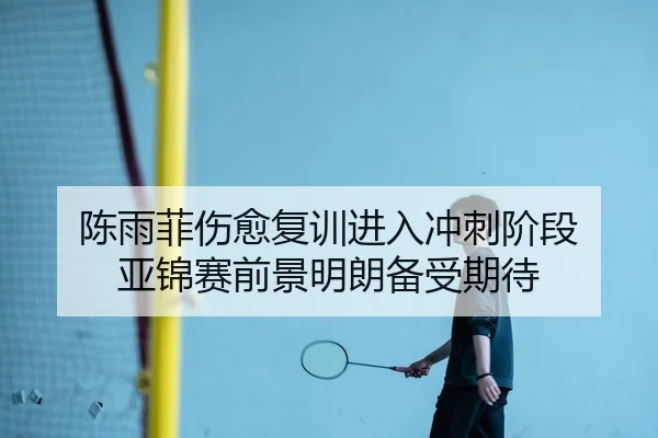 陈雨菲伤愈复训进入冲刺阶段 亚锦赛前景明朗备受期待