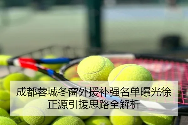成都蓉城冬窗外援补强名单曝光徐正源引援思路全解析